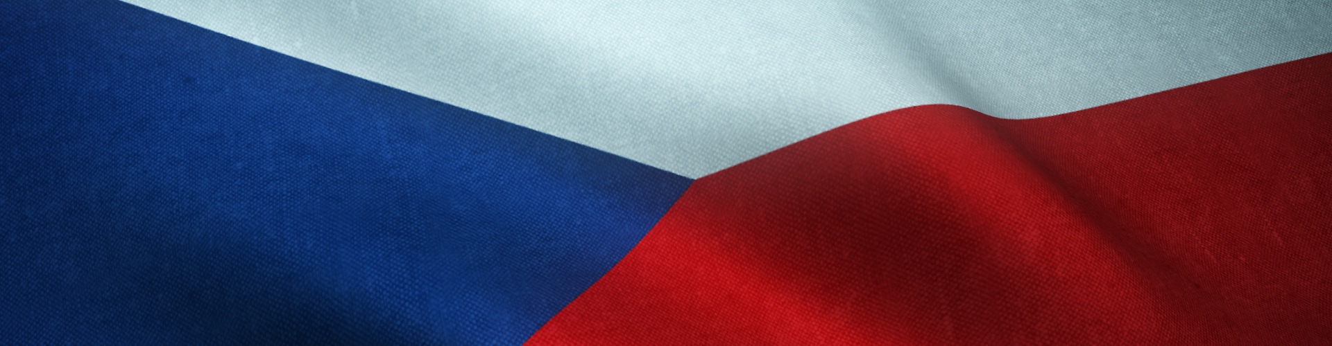 Вінниця – Чехія